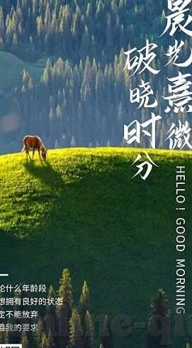 朱婷世界杯141分集锦-朱婷世界杯141分集锦，女排之星的璀璨时刻